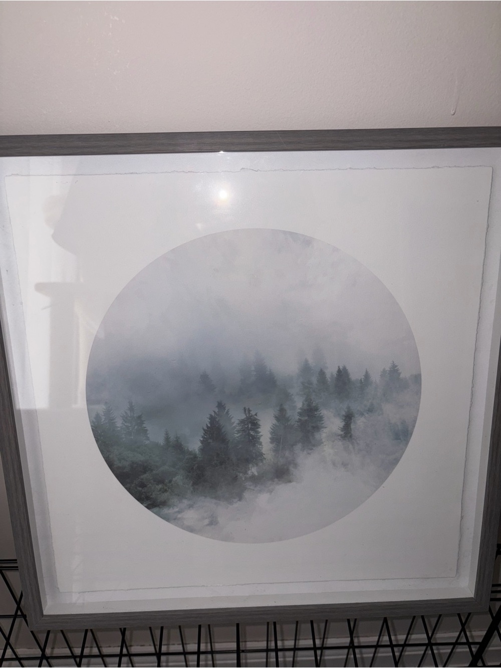 Framed Misty Forest Circle Wall Art - Gray